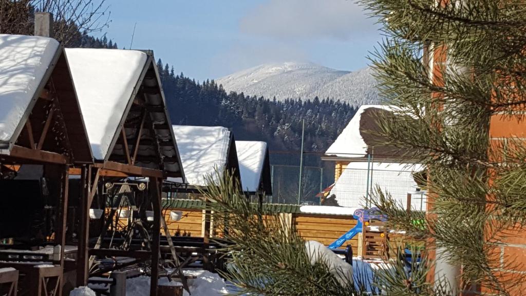 Příroda nedaleko hotelu