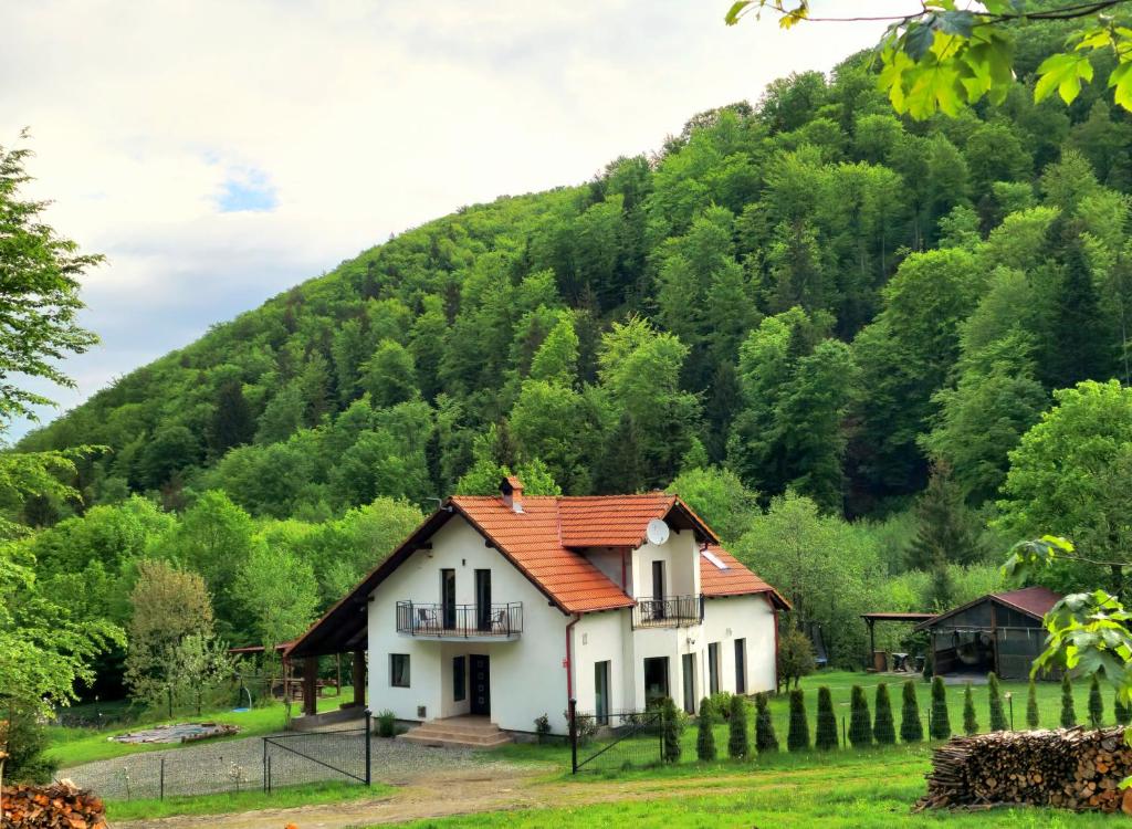 a house with an orange roof in front of a mountain at Wild River Cottage in Lissa