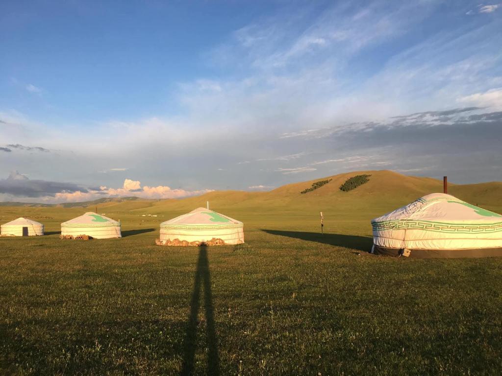 three tents in a field with hills in the background at Mongolian traditional Ger accomodation in Narst