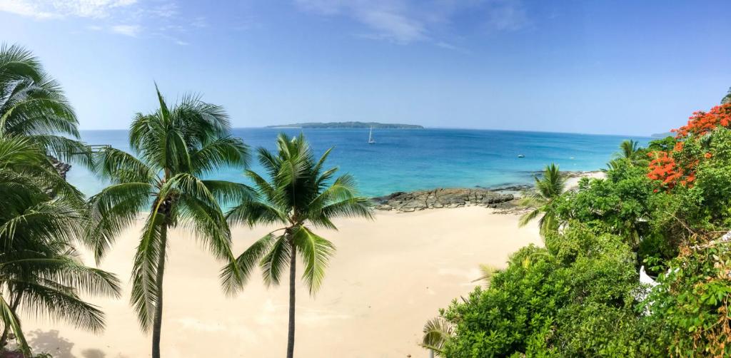 a beach with palm trees and the ocean at Villa Condesa Del Mar in Contadora