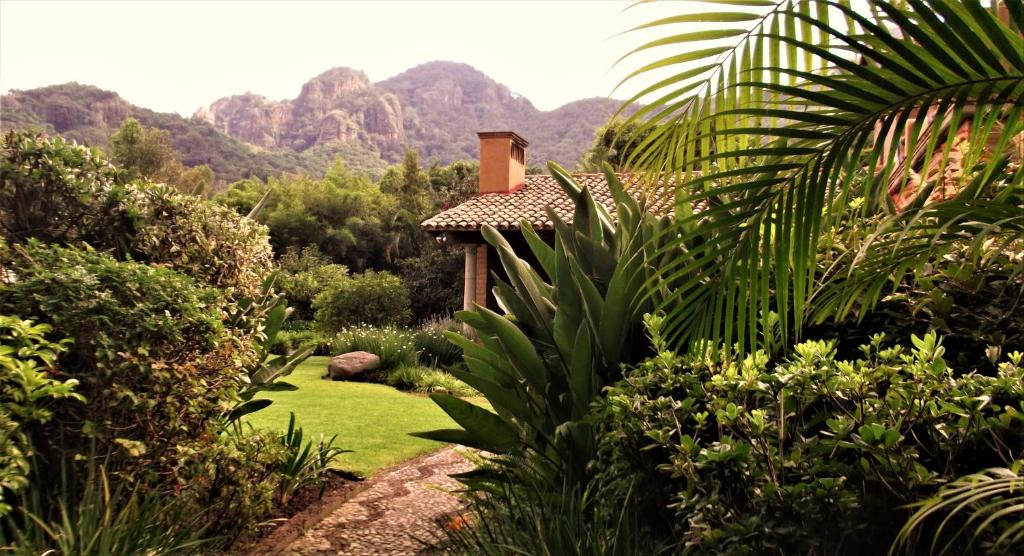 a garden with a house and mountains in the background at Areté in Tepoztlán