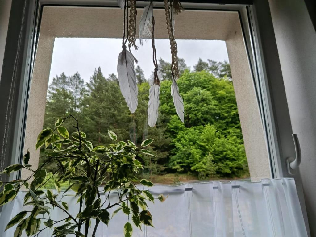 a window with a plant in front of it at Apartmán s terasou REZIDENCE 300 Všemina in Všemina