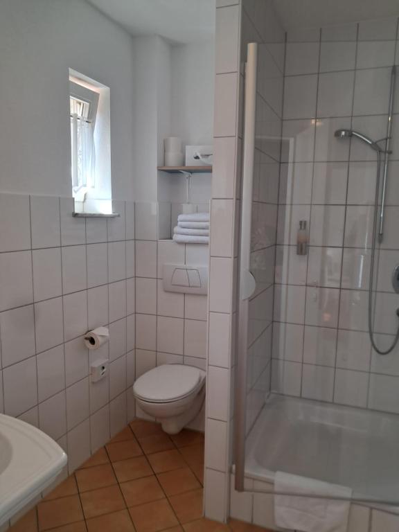 Hotel Hirsch - Single Room