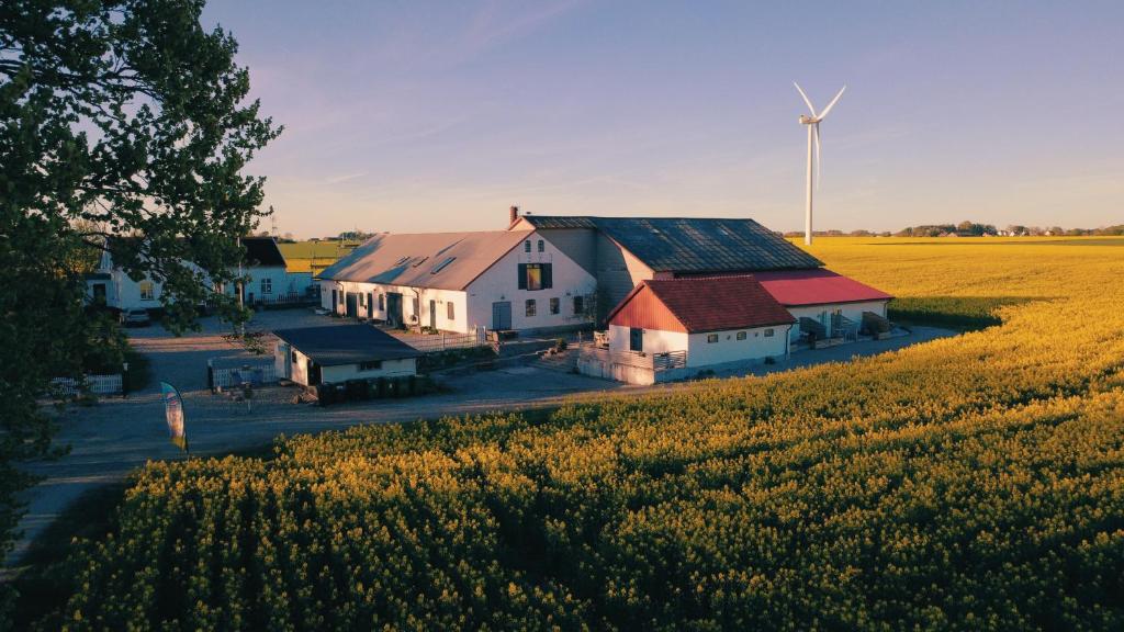 a farm with a windmill in the middle of a field at Kvarnviks Gård Close to Sea & Charming Country Stay in Klagstorp