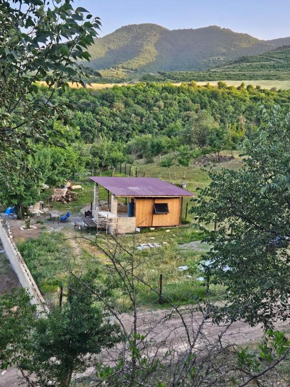 a small house in a field with mountains in the background at Villa Home in Ganja