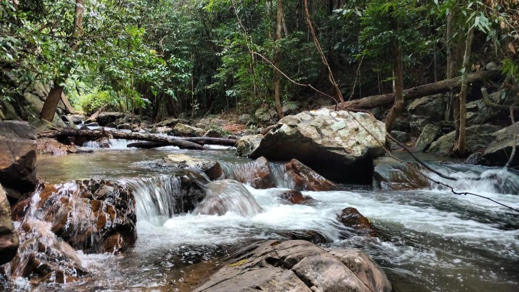 Chestnut Hill Eco Resort Had Yai - Resim 12