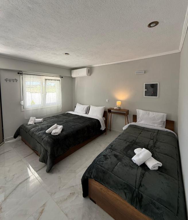 a bedroom with two beds and a window at Villa Athina C in Serres