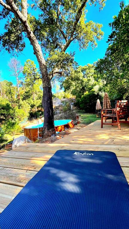 a blue mat on the ground next to a tree at OKU Country Loft in Monchique