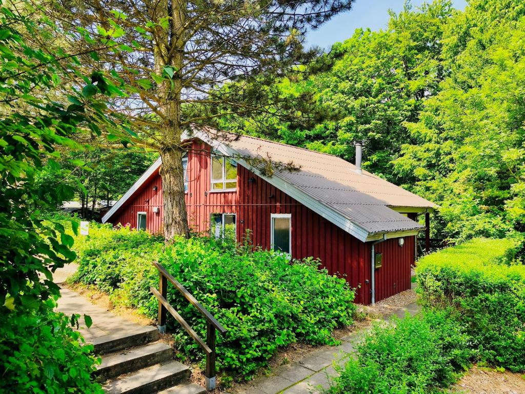 a red barn with a staircase leading to it at Extertal Ferienpark Sauna Wald 51 in Extertal