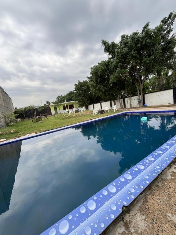 a large swimming pool with blue water at Palm resort in Greater Noida