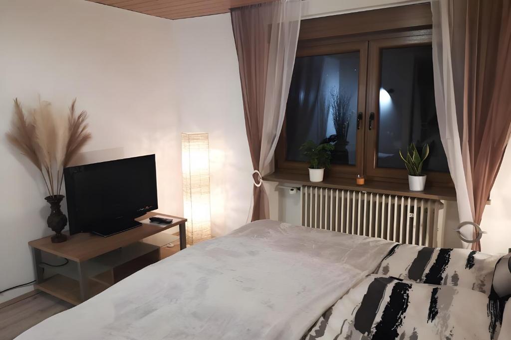 a bedroom with a large bed and a television at Zur kleinen Auszeit in Issigau