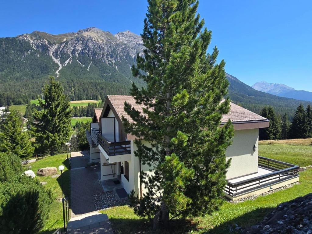 a house in the mountains with a tree at La Schmetta 65 Quadroni in Lenzerheide