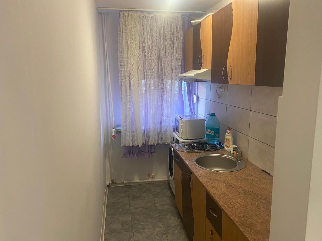 a small kitchen with a sink and a window at Sofia Apartament in Drobeta-Turnu Severin