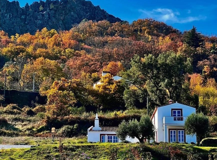 a white house in front of a mountain at Marvão Country Houses - Queixos I in Santo António das Areias