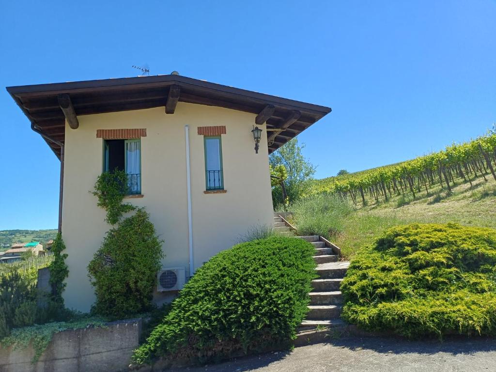 a small house in a vineyard next to a hill at Calice dei Cherubini in Montecalvo Versiggia