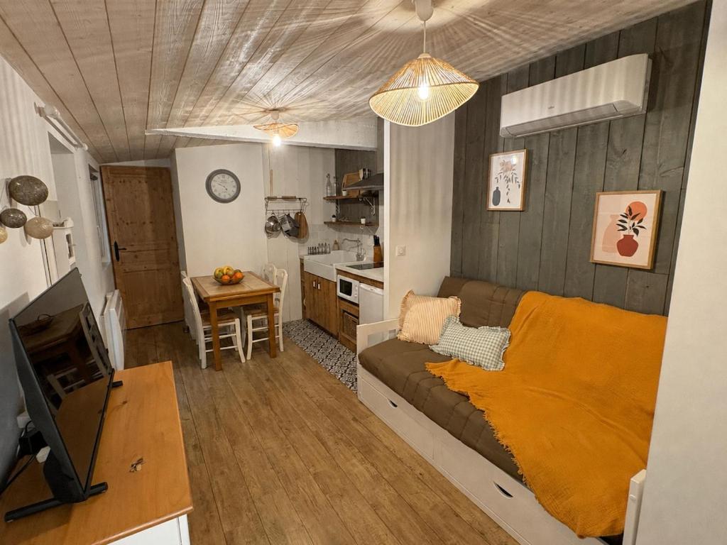 a living room with a couch and a television at Le Logis du Coteau in Bellefoye