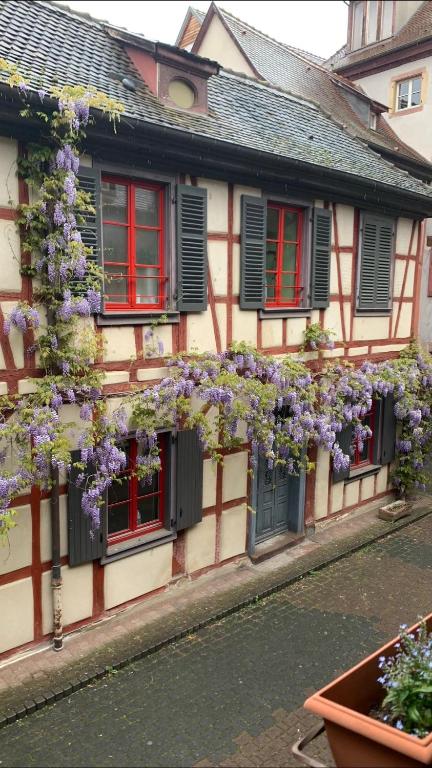 Colmar historic center Charming duplex with garage – photo 6