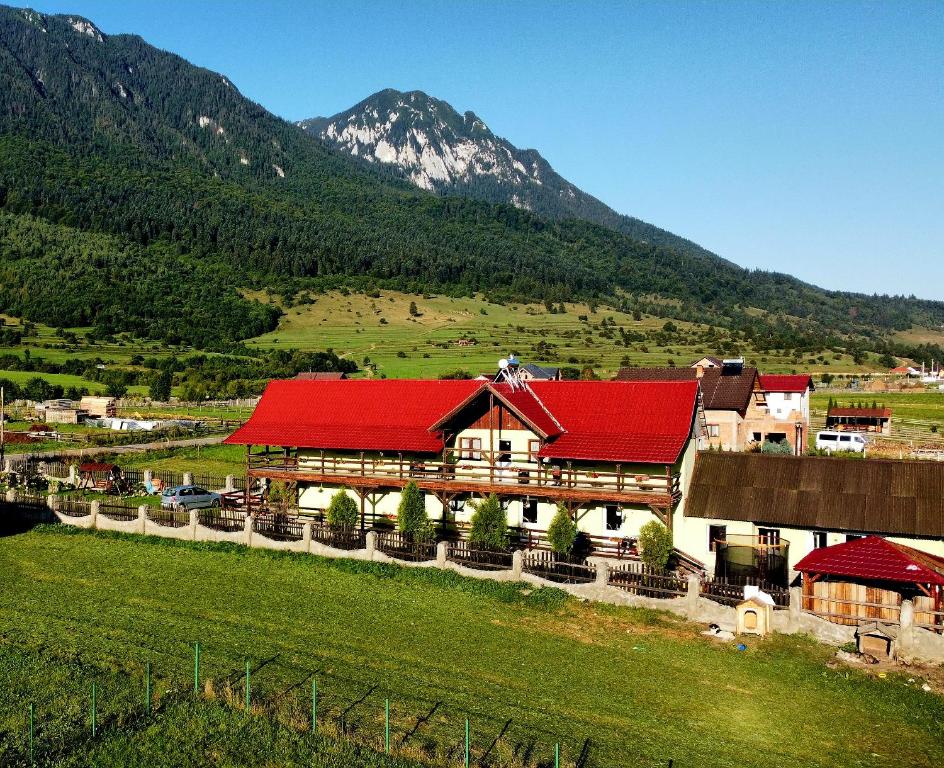 a building with a red roof with a mountain in the background at Maricom Home in Zărneşti