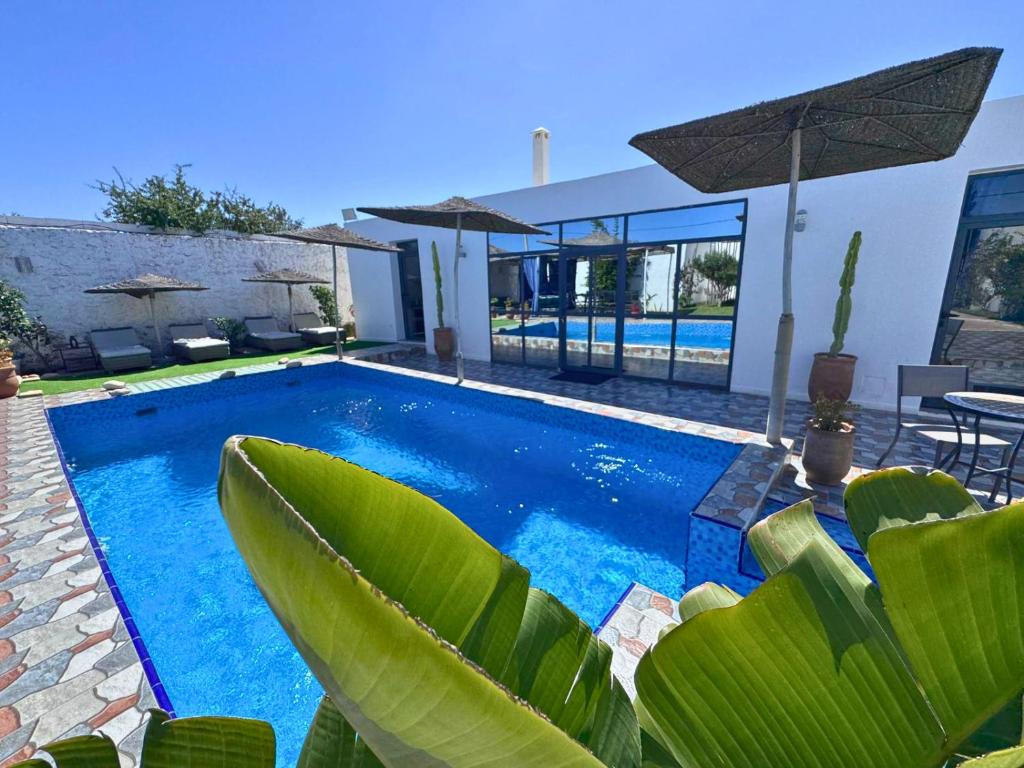 a swimming pool with blue water and green plants at Villa Massalia Essaouira in Essaouira