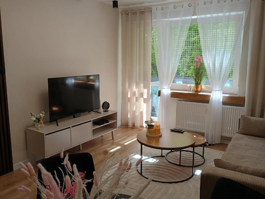 a living room with a television and a coffee table at Vespera Apartment - Retkinia in Łódź
