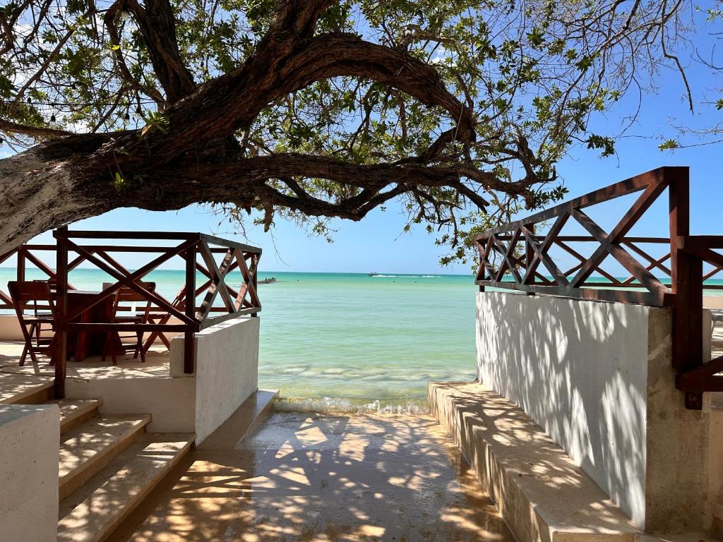 a tree hanging over a beach with the ocean at Choby's House Holbox in Holbox Island