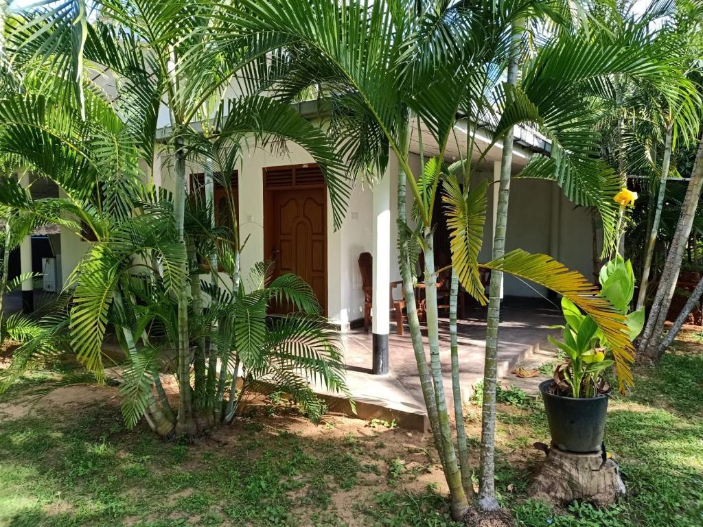 a house with two palm trees in front of it at Tropical Lodge Yala in Kirinda