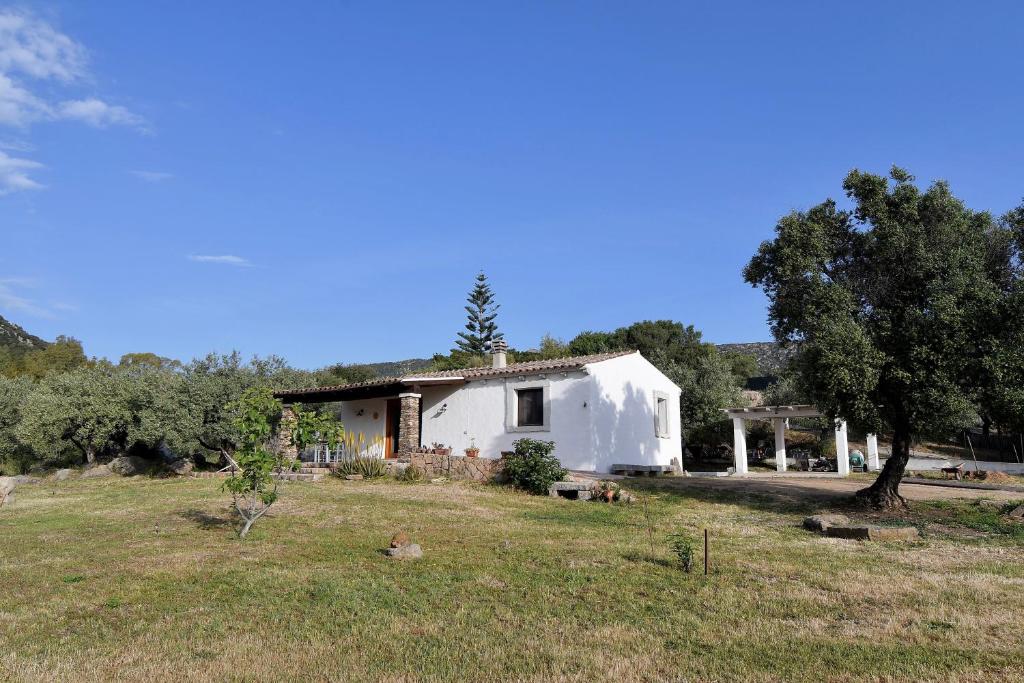 a white house in a field with a tree at Stazzo La Chèa in Nuragheddu