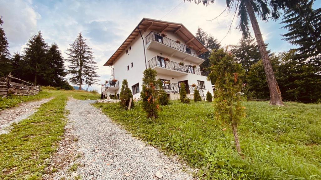 a house on a hill with a dirt road at Casa dintre Brazi in Statjunea Borsa