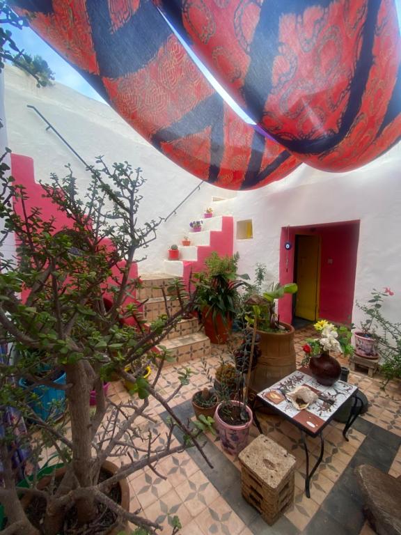 a patio with potted plants and a table and stairs at casa tradicional marroqui in Sidi Ifni