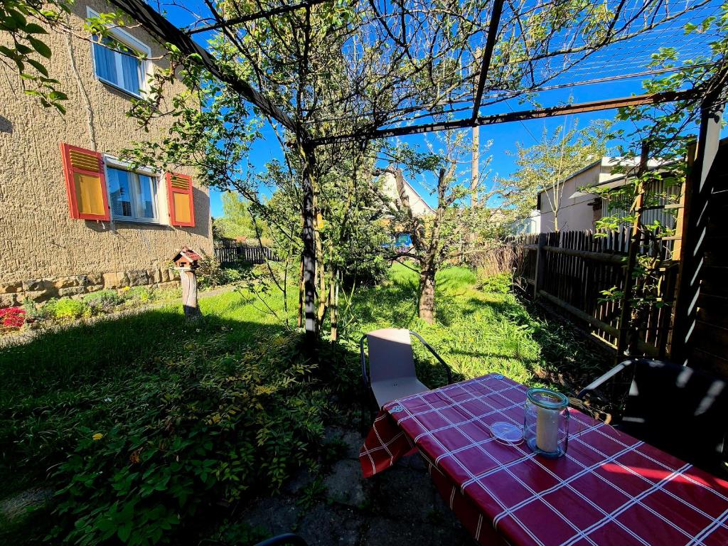 a picnic table in the backyard of a house at Elbsandstein vor der Tür in Lohmen