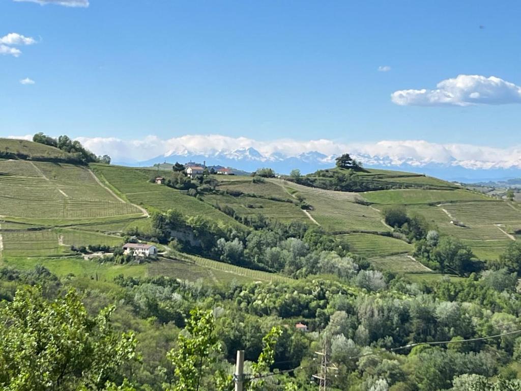 Agriturismo Il Muscatè