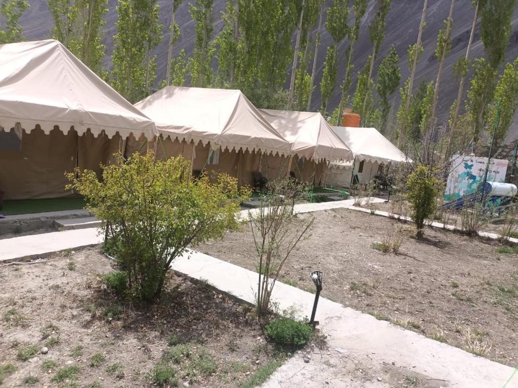 a row of tents in a yard with trees at Town Front Camping in Leh