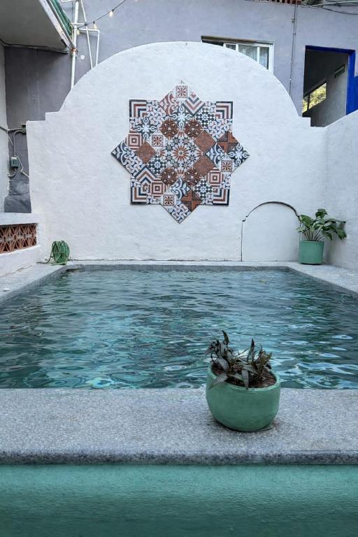 a swimming pool with a flower pot in front of a building at Sayu Life in Sayulita