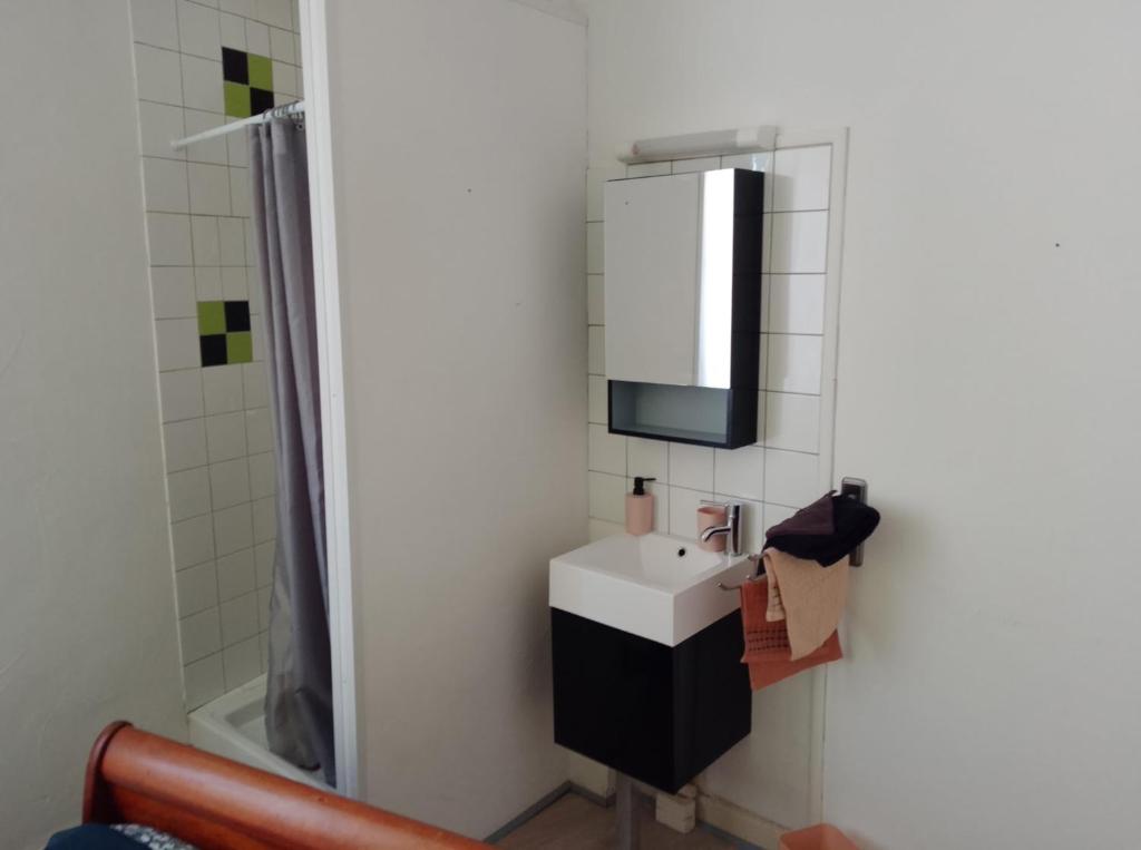 a bathroom with a sink and a mirror and a shower at Le café de la place in Saint-Germain-du-Teil