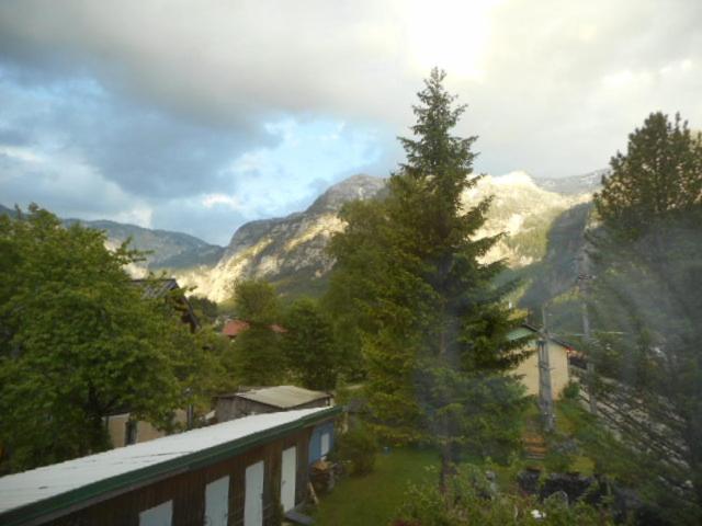 a pine tree standing in front of a mountain at Eight in Obertraun
