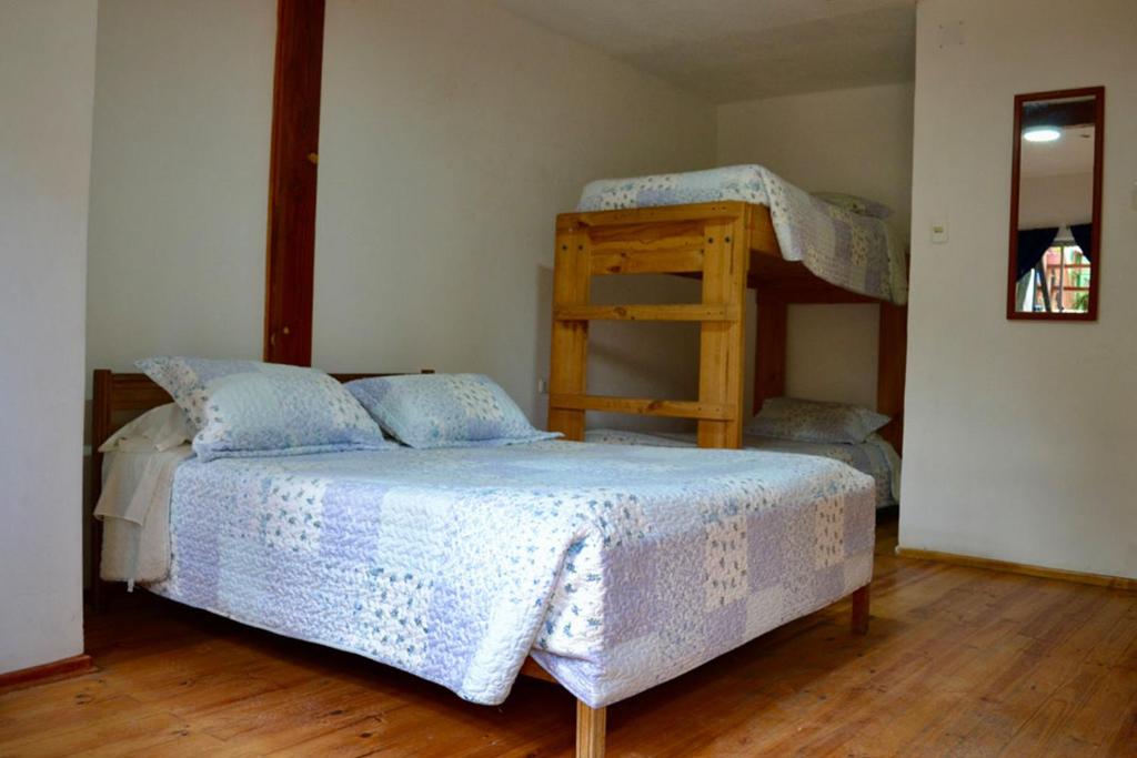 a bedroom with a bunk bed and a ladder at Hostal Michel in Vicuña