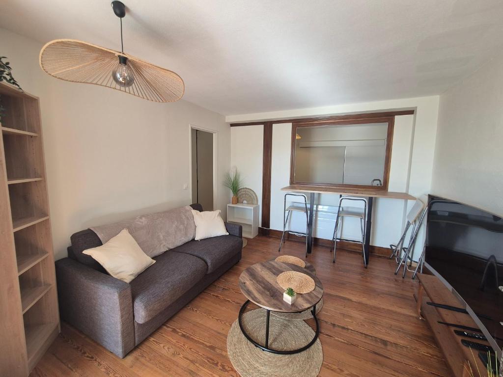 a living room with a couch and a table at Studio Cosy La Parenthèse in Ambérieu-en-Bugey