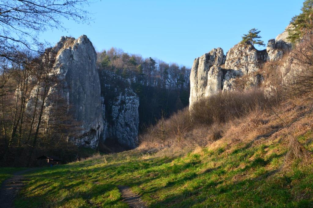 Príroda v okolí dovolenkového domu