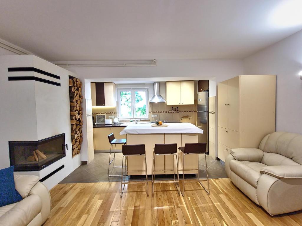 a kitchen and living room with a couch and a table at Apartment Učka Home in Tuliševica