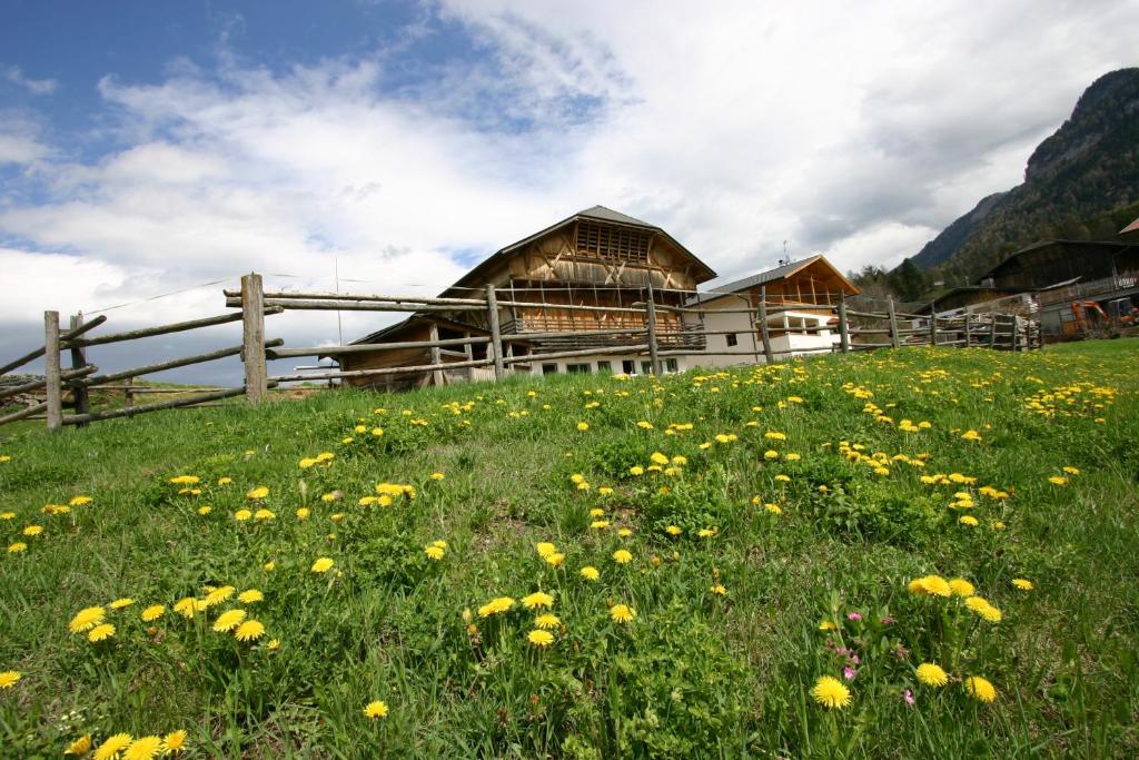 un campo de flores amarillas frente a un edificio en Hilpoldhof, en Castelrotto