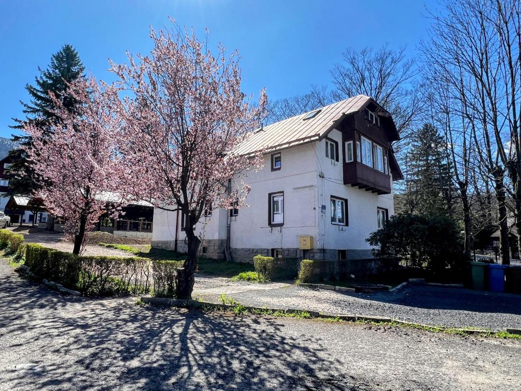 a white house with a tree in front of it at DW Bukówka in Karpacz