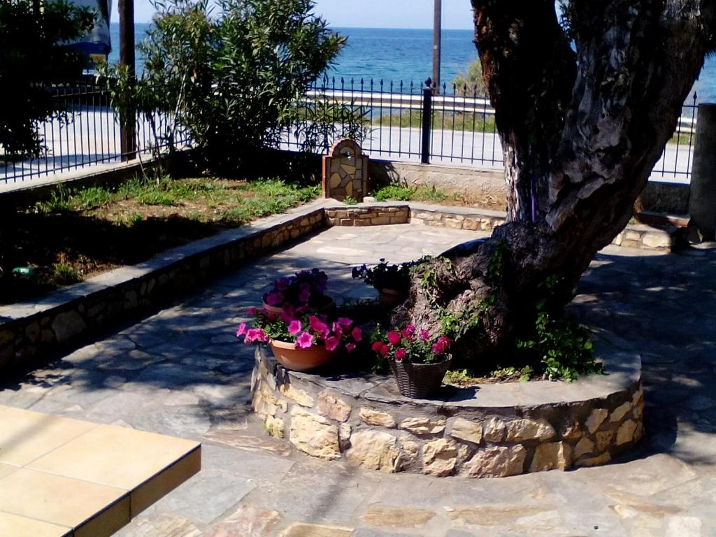 a tree with two pots of flowers next to a grave at Aegialis in Skala Kallirachis