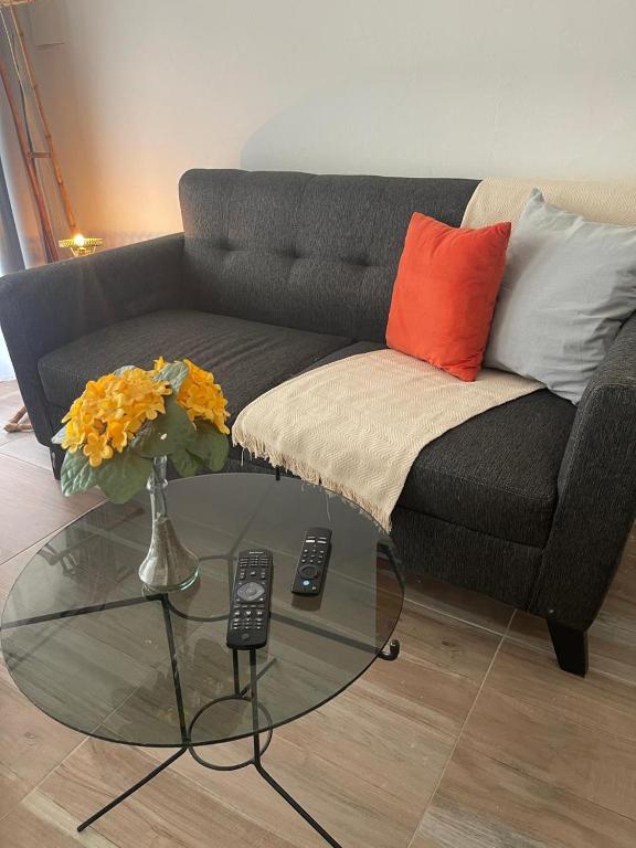 a living room with a couch and a glass table at Almaalquiler in Carmen de Patagones