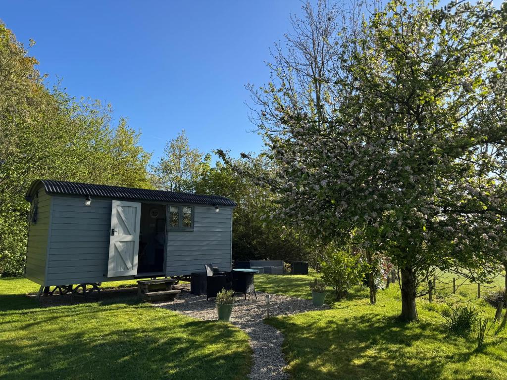 a tiny house in a garden with a tree at Greatwood Shepherds Hut in Battle