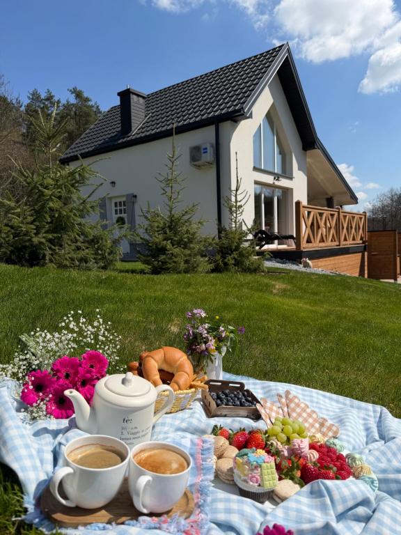 a picnic blanket with food and coffee on a lawn at Polana House in Niedźwiada