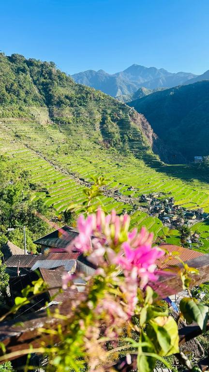 a view of a valley with pink flowers in the foreground at Batad Pension and Restaurant Native House in Banaue