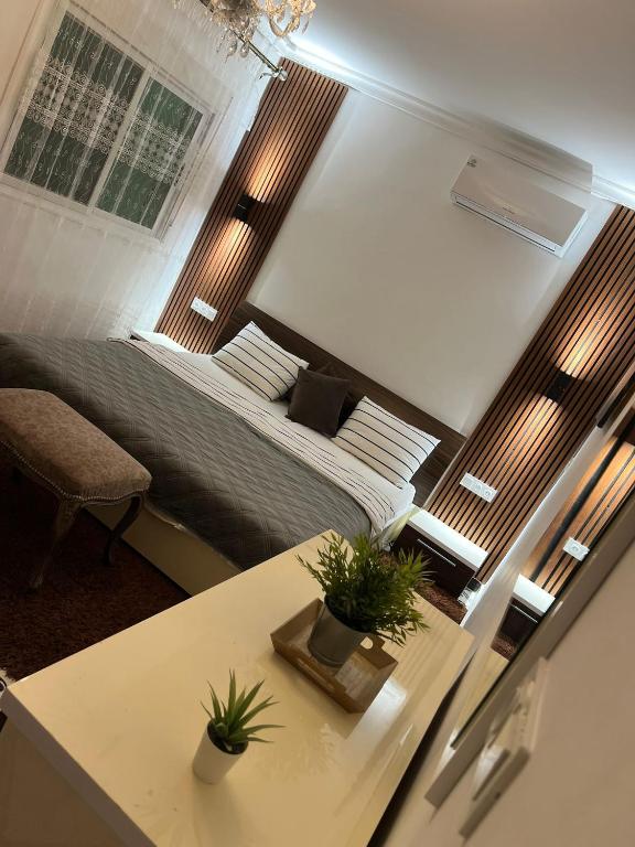 a bedroom with a bed and a table with plants at APARTMENT AYOUB -for families only- in Nador
