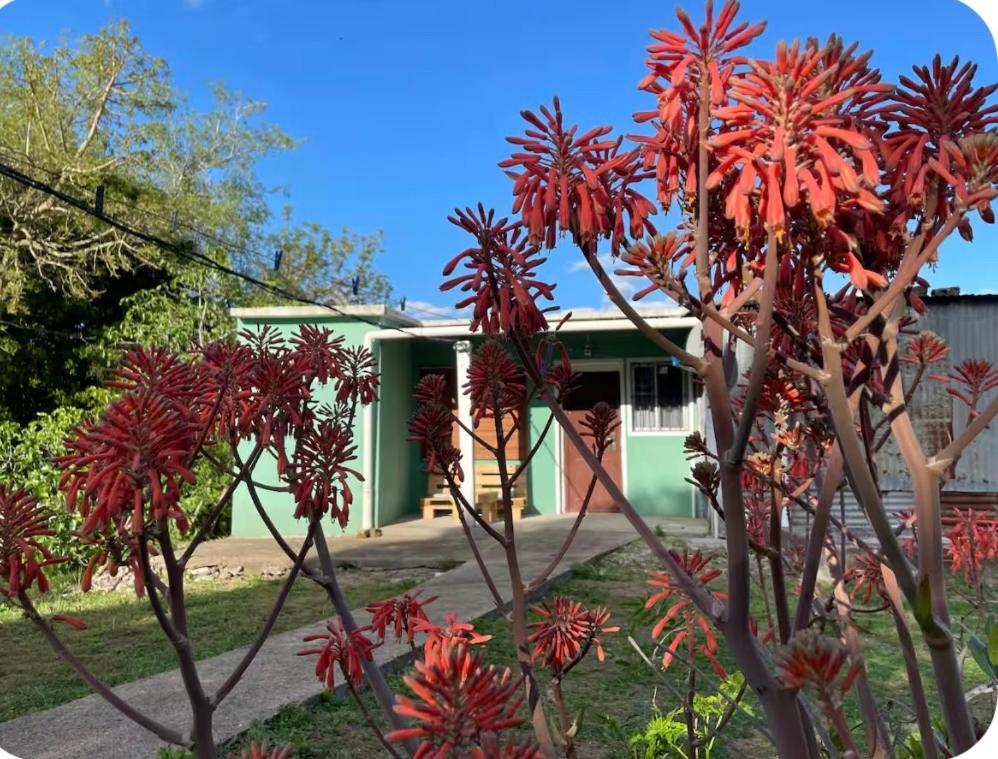 a green house with red flowers in front of it at Apto en Minas con amplio fondo, aire acondicionado, ideal para descansar in Minas