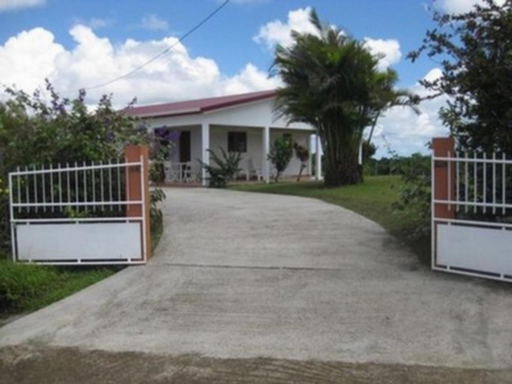 a driveway leading to a white house with gates at Mon Repos in Sainte-Luce