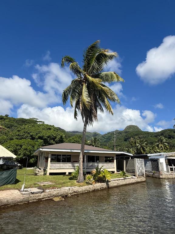 Fare Holidays - Raiatea - photo 6 - Raiatea, Polynésie